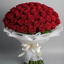 Букет 101 Красная роза Блэк Мэджик в Комаричах
