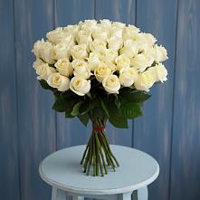 Букет 51 Белая роза Эдлесс Лав #REPLACE_PRED# Комаричах