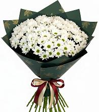 Букет цветов из:  Хризантемы #REPLACE_PRED# Комаричах