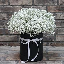 Цветочная композиция из Гипсофила в шляпной коробке #REPLACE_PRED# Комаричах