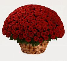 Премиум букет из: Розы в Комаричах